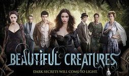 美丽的生灵在线观看