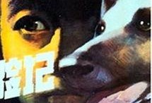 狼犬历险记在线观看,勇闯未知世界的冒险之旅