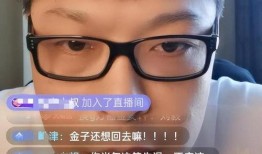 刘云天最新爆料视频,事件背后惊人真相