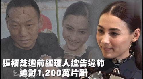 吃瓜娱乐趴,揭秘娱乐圈幕后故事